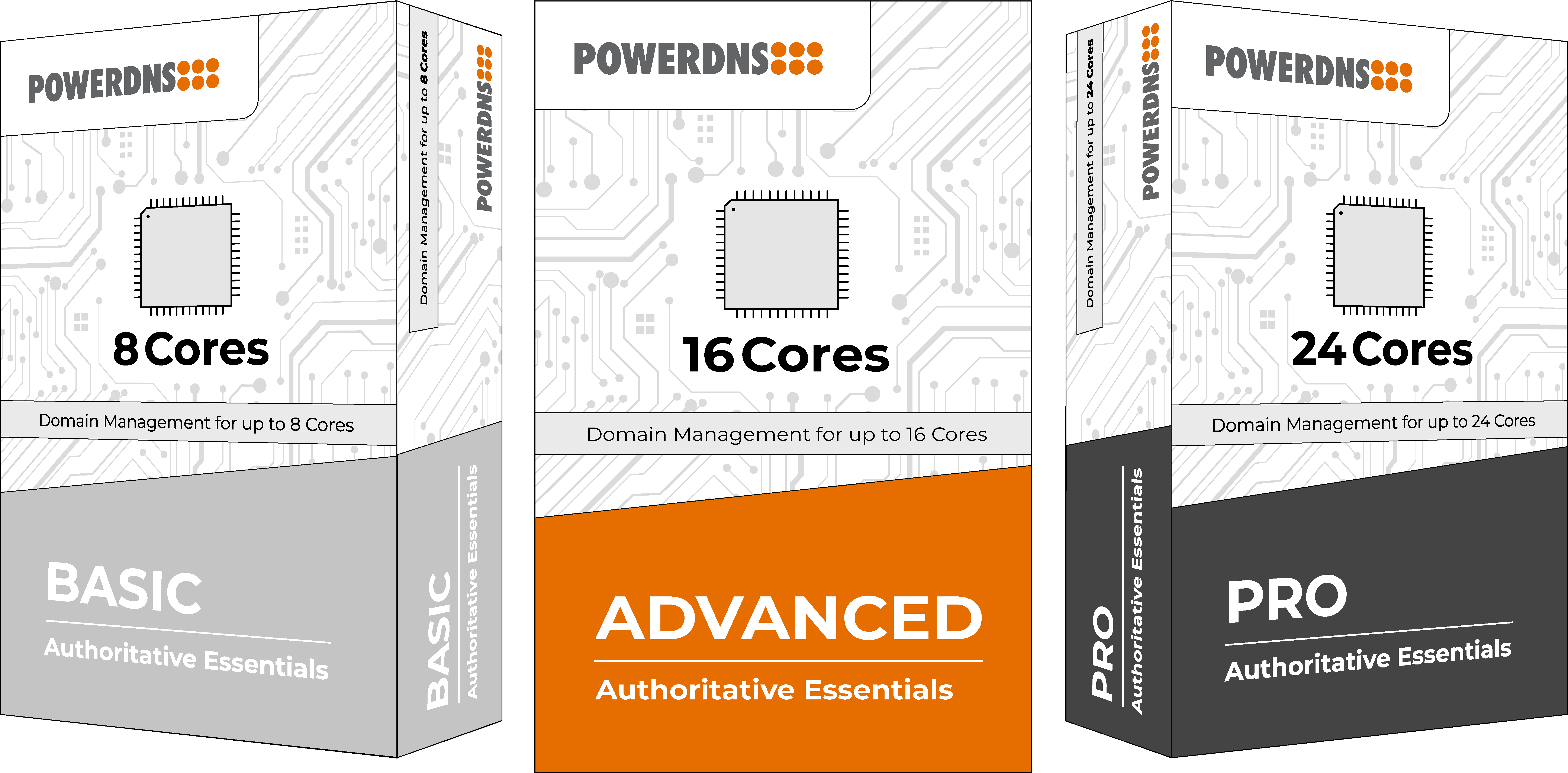 Introducing PowerDNS Authoritative Essentials